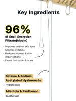 Load image into Gallery viewer, Cosrx Advanced Snail 96 Mucin Power Essence 100ml