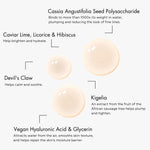 Load image into Gallery viewer, Étymologie Multi-Corrective Hydration Serum