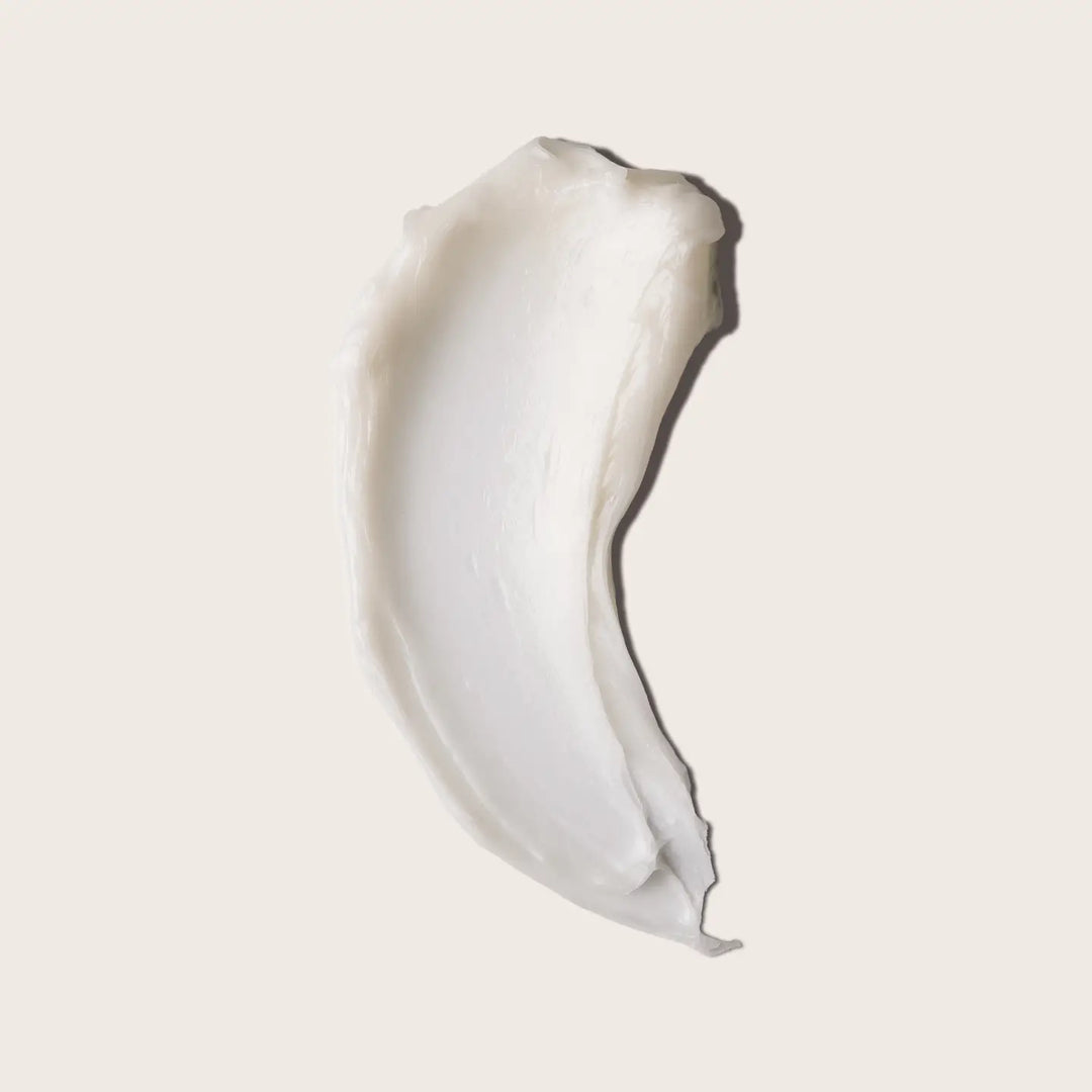 Everist The Fragrance-Free Conditioner Concentrate