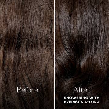 Everist The Haircare Travel Duo