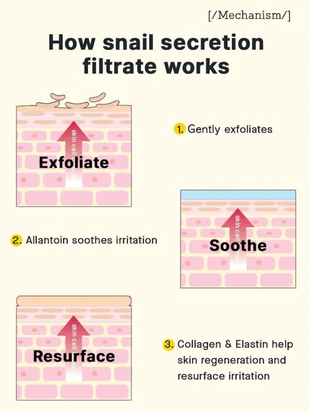 Cosrx Advanced Snail 92 All in One Cream 100g